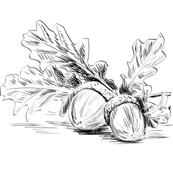 Agrica