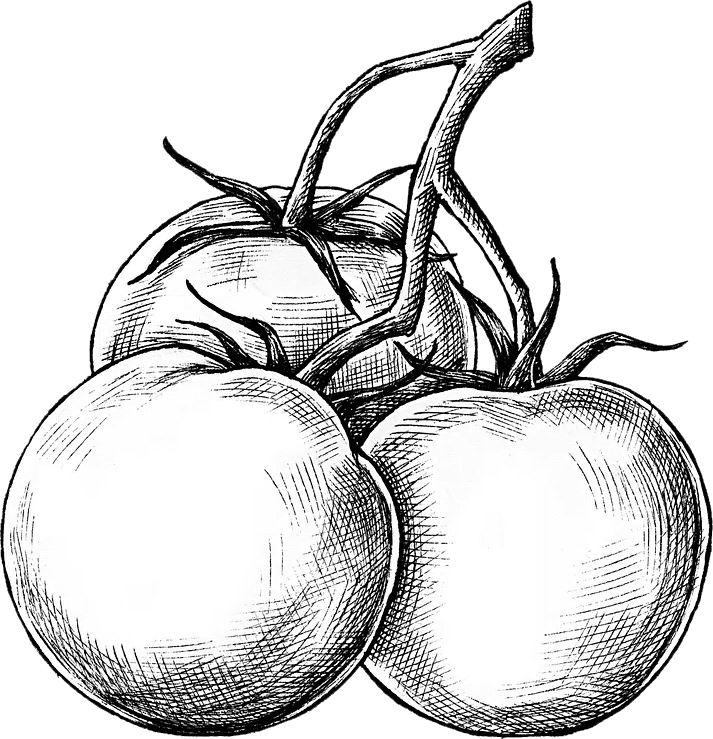 Agrica